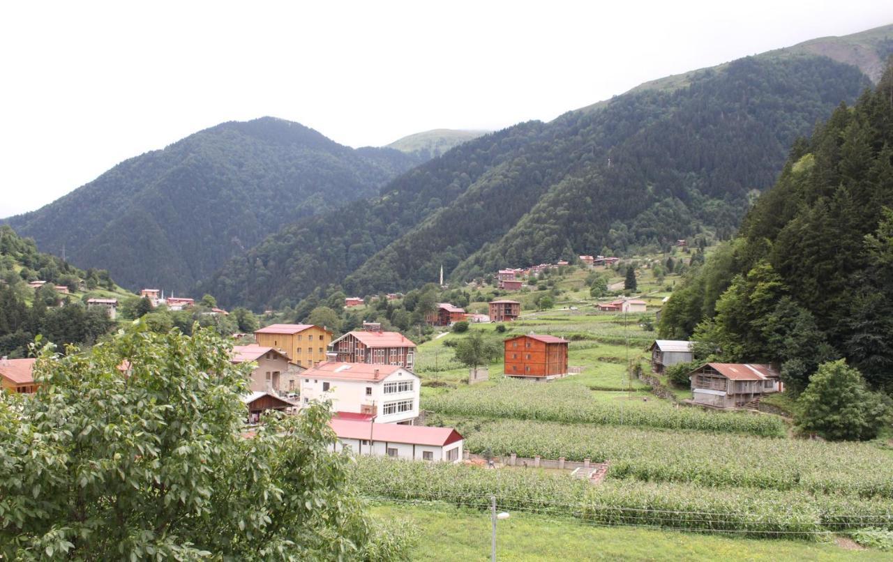 Uzungoel Zahra Apart Hotel Zewnętrze zdjęcie